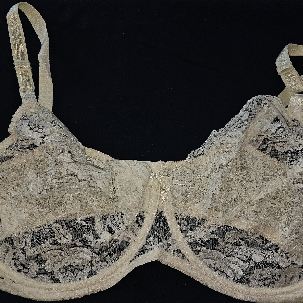 Layne Bryant Lace Bra